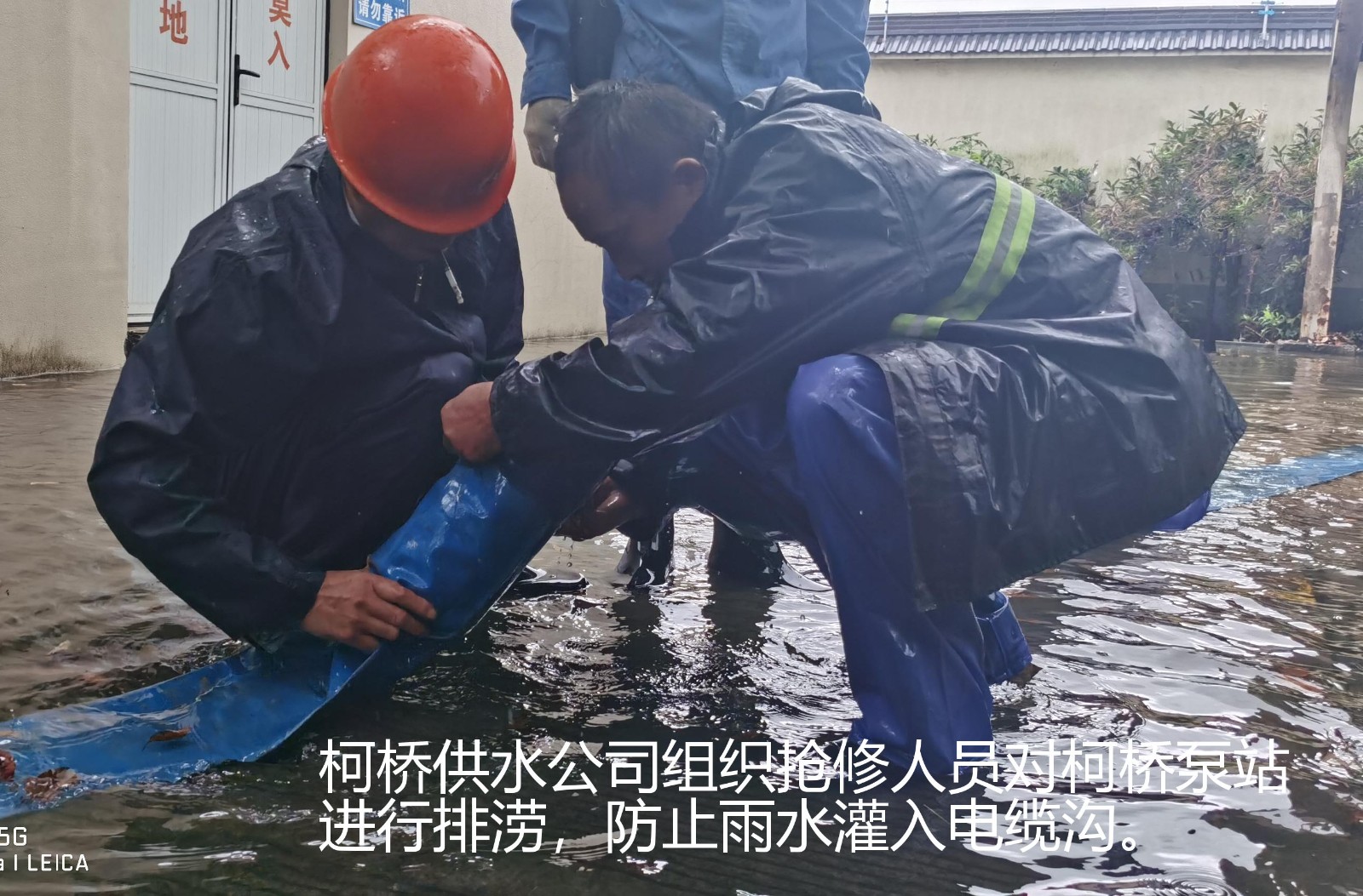 1627523873843980.jpg 1627523873843980.jpg